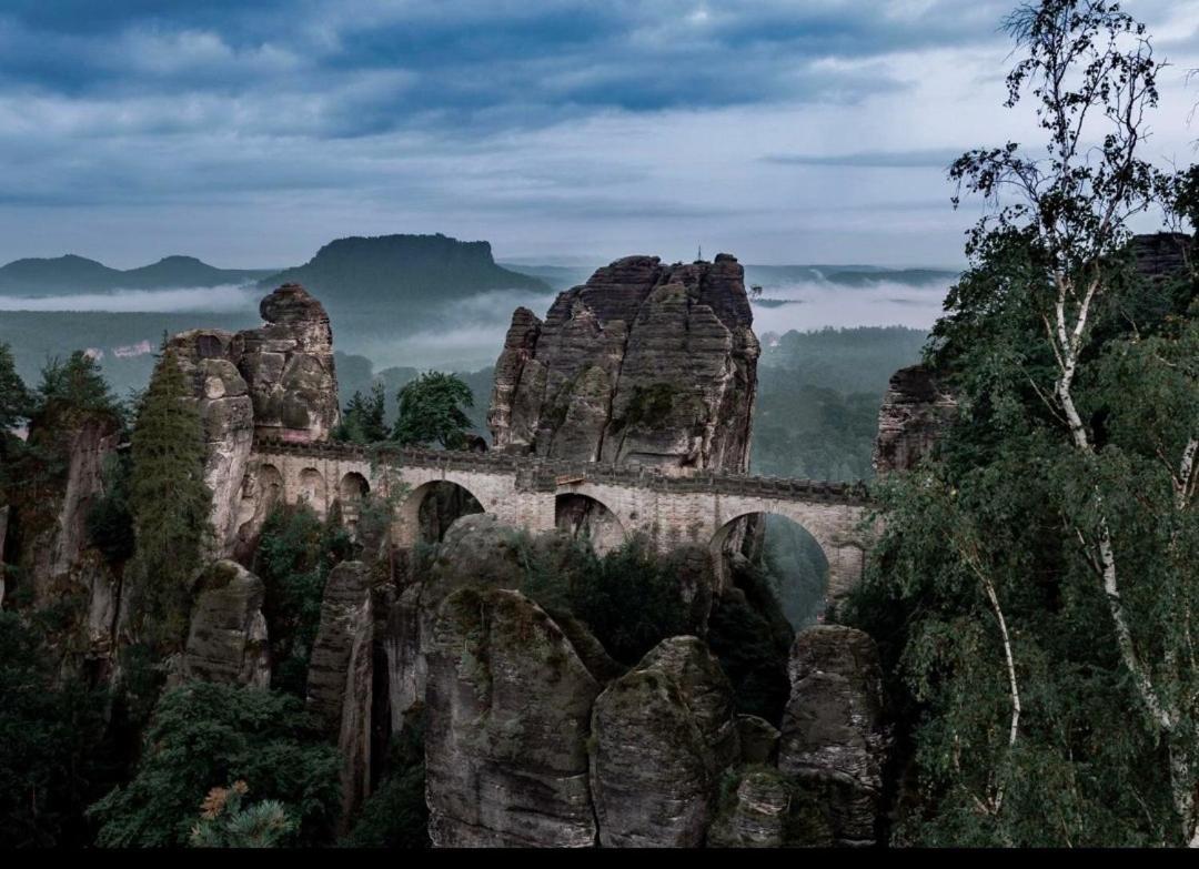 Ferienwohnung Weisses Ross Pirna Rom bilde